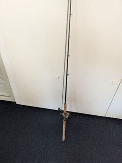 Fishing pole with reel