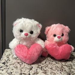 Teddy Bear 