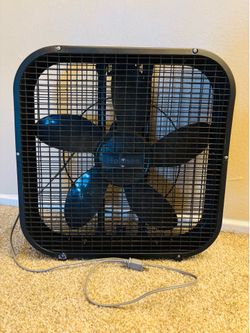 Fan