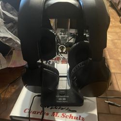 Wallerge Headphones