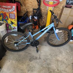Large Girl Bike 