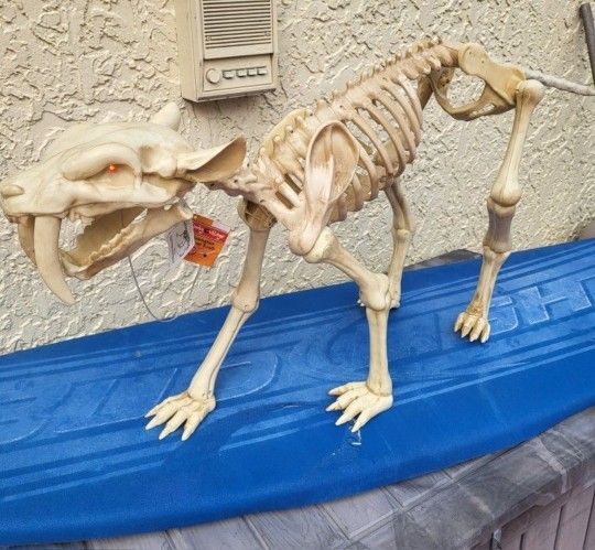 Halloween Antimated Skeleton Sabertooth Tiger Cat Decoration