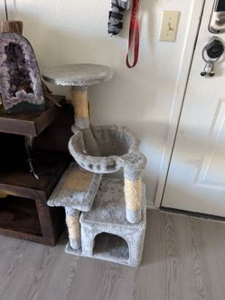 Cat Tree
