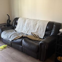 Leather Couch With Sleeper