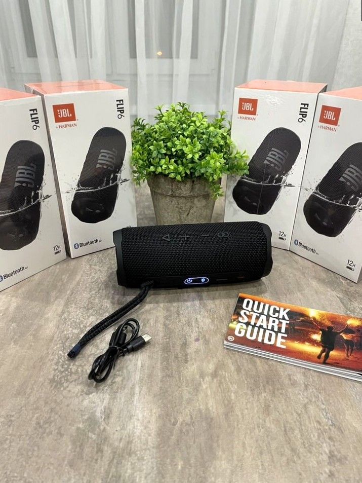 JBL Flip 6
