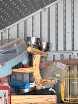 Bird stand