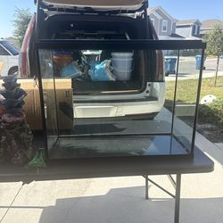 🐠 Fish tank  / 🐠Pecera