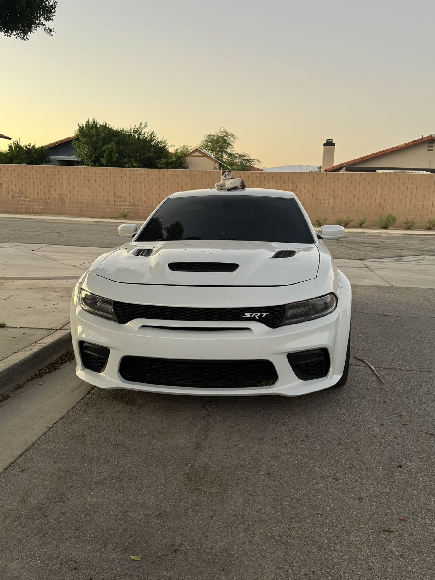 Dodge Charger Scatpack