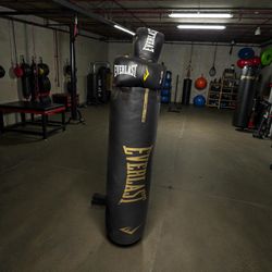 Everlast punching bag with gloves, swivel and chain