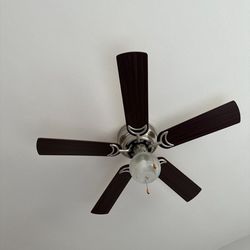 2 Celling Lights With Fan
