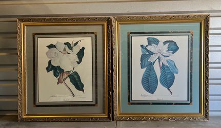 Set of 2 pictures