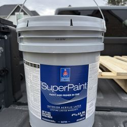 Sherwin Williams Interior Satin Super Paint Balanced Beige 
