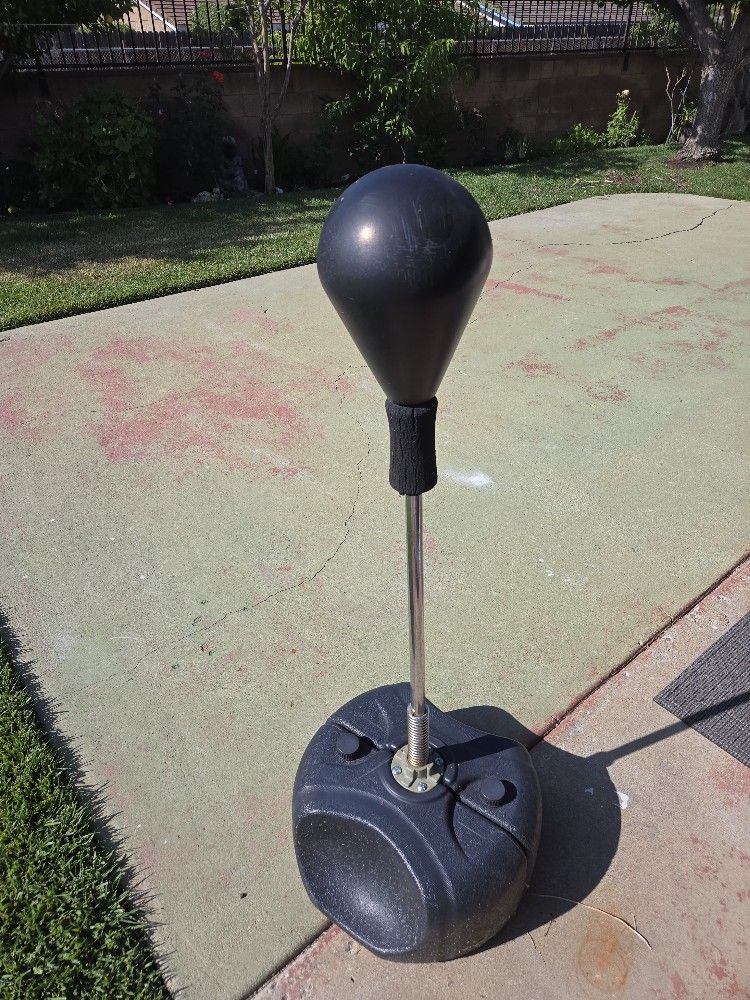 Punching Bag 