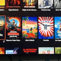 TV PROGRAMMING