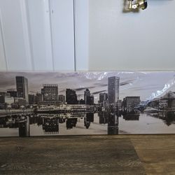 Baltimore Black Ans White Canvas 