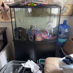 Fish Tank