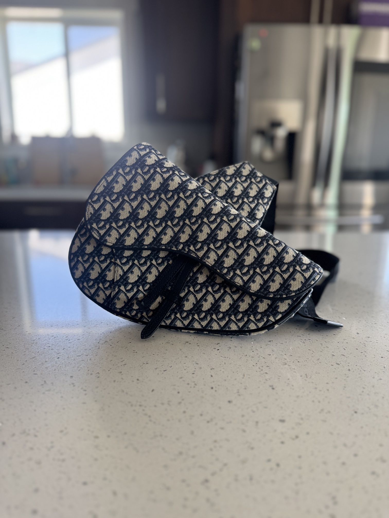 Dior Saddle Bag
