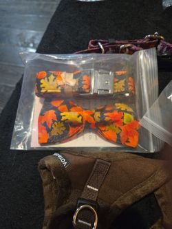 Dog/ Cat Collar