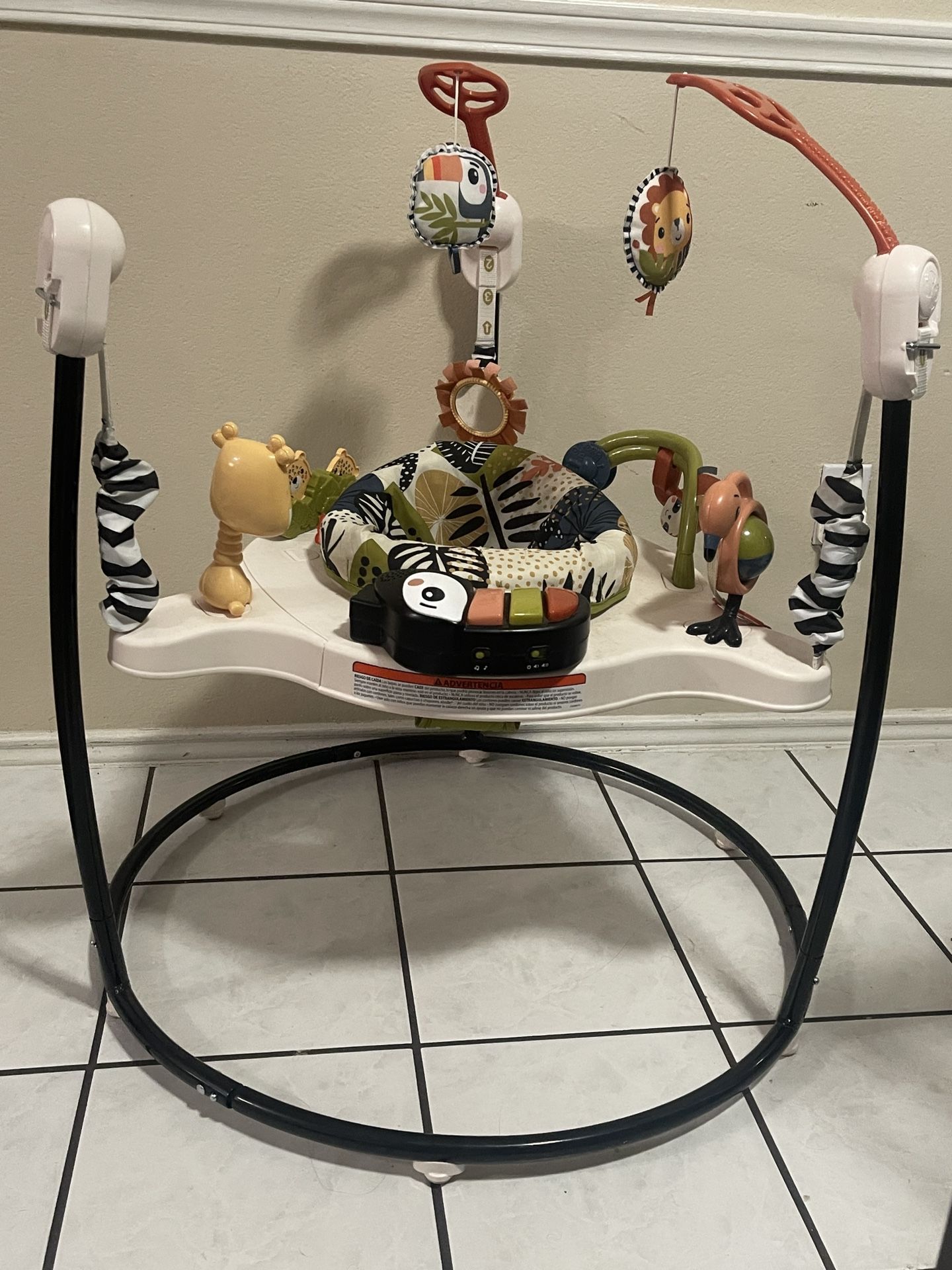 Fisher Price Baby Bouncer