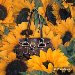 Women's Francisco Biasia Purse