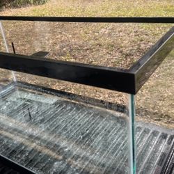 Reptile 🦎 Critter Cage 🐍 🦎🐍🐢🐍🦎🐢🐢🐢🐢