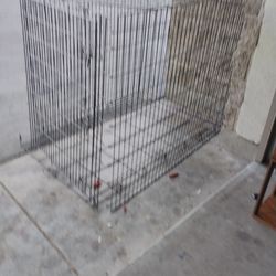 Dog Kennel🐕‍🦺🦴🐾