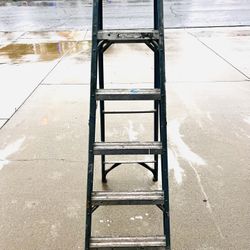 Werner 6’ Fiberglass Ladder