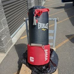 New Punching Bag and Gloves