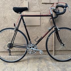 Univega Viva Sport Road Racing Touring Bike Suntour Gt Shimano Lightweight Ready To Ride Fully Tuned