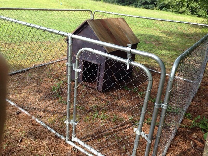 10x10x4 2024 dog kennel