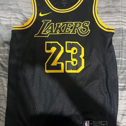 Lakers Jersey (lebron James)