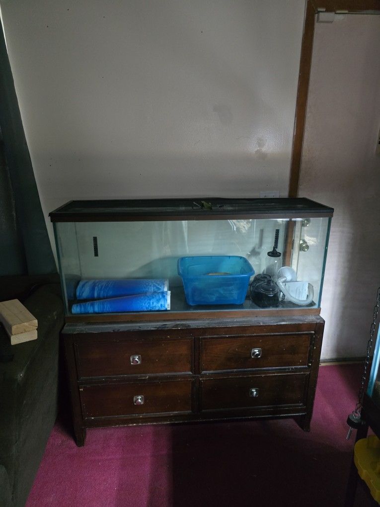 Reptile Tank