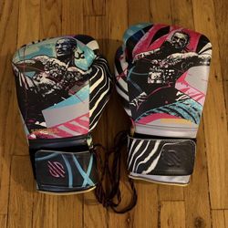 Sanabul Boxing Gloves
