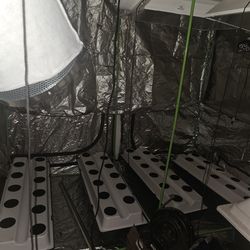 Aeroponics 22 site system