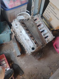 Ls 5.3