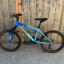 Kids Nishiki Mountain Bike