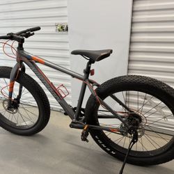 Fat Tire Bike 