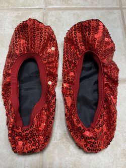 Ballet shoes - sequined, sparkly