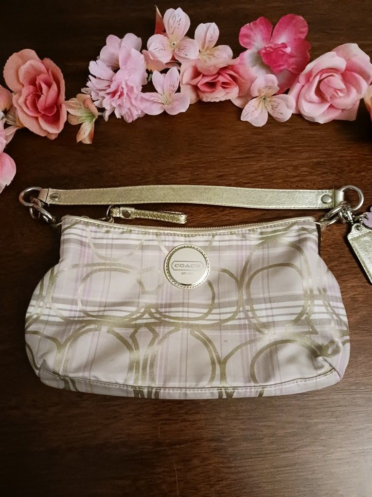 Coach Bag 7