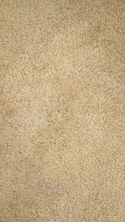 Carpet cleaning and installation