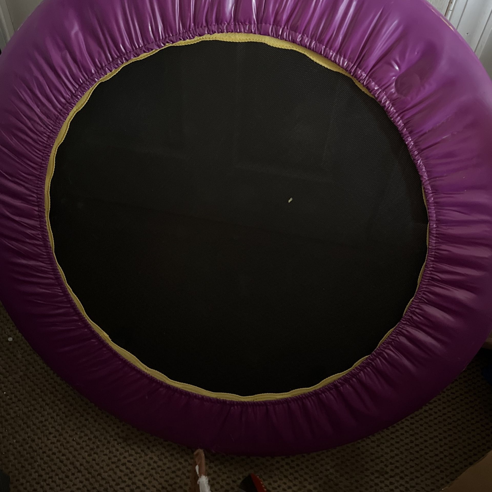 Exercise Trampoline