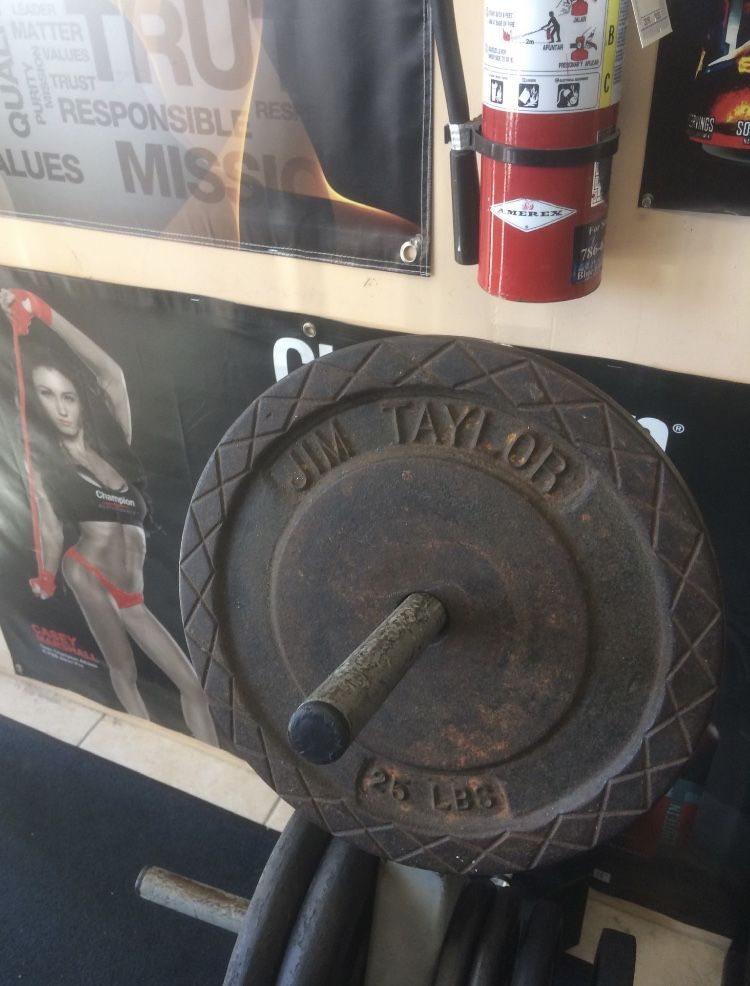 Rare Jim Taylor Gym Plates (one pair of 5lbs, one single 25lbs)