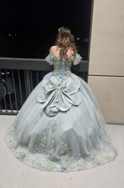Sweet 16/Quinceanera/prom princess dress