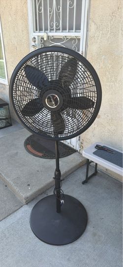 Fan