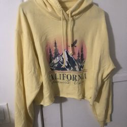 Hollister Hoodie