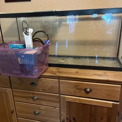50 Gallon Fish/reptile Tank With Everything 
