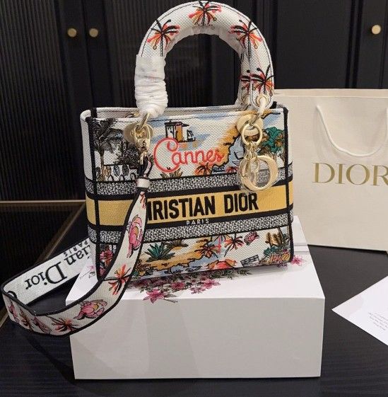Dior City Limited Edition Tote Bag Handbag der Bagul