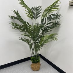 Artificial Areca Palm Tree 5Feet Fake Tropical Palm Plant and Handmade Seagrass Basket, Perfect Tall Faux Dypsis Lutescens Plants for Entryway Modern 
