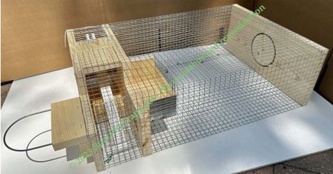 Deluxe Elevator Live Sparrow Repeat Trap