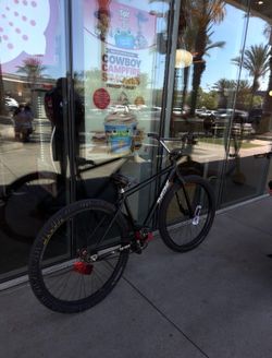throne 29er